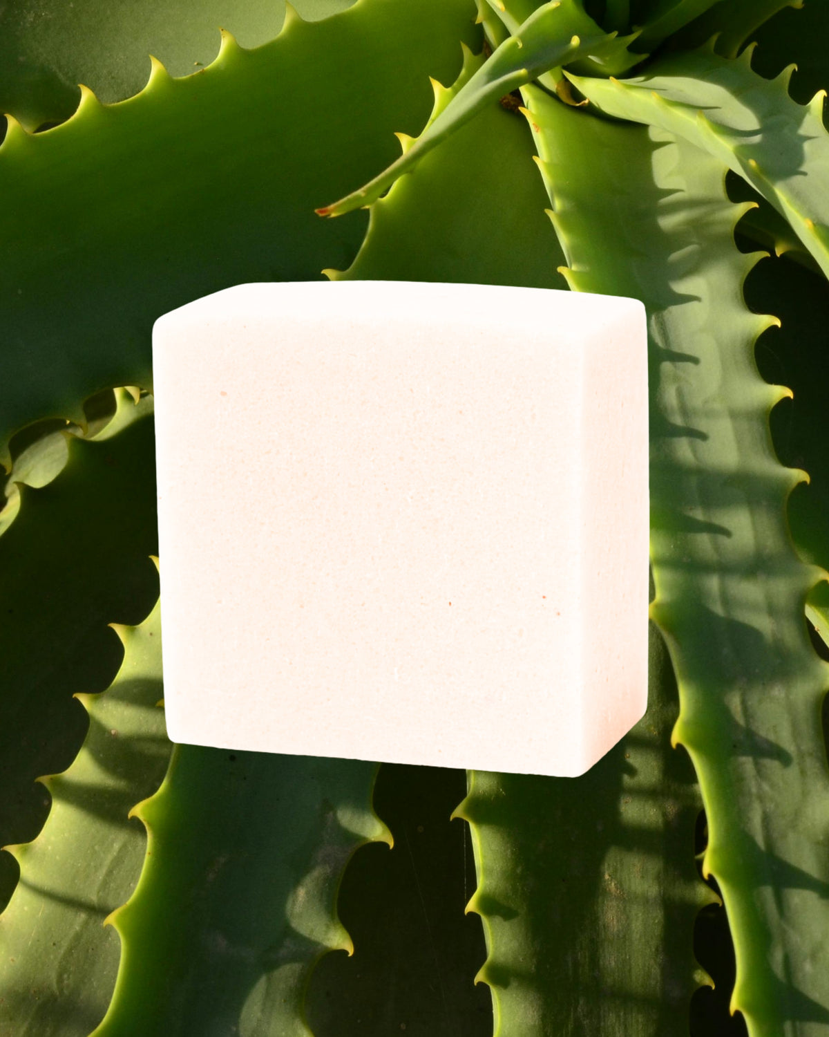 Aloe Vera  Soap